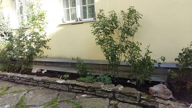   Ettevalmistused Pha Hildegardi aia rajamiseks Tallinna Vanalinnas aug-sept. 2016