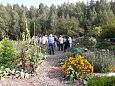 Audru arboreetum | Dendroloogia Seltsi suvepevad 06 - 08.08.18 Prnumaal  