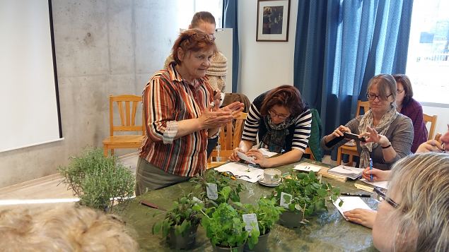   Tiina Paasiku koolitus Pirital "Maitsetaimede ja suvelillede kasvatamine pistikutega" 