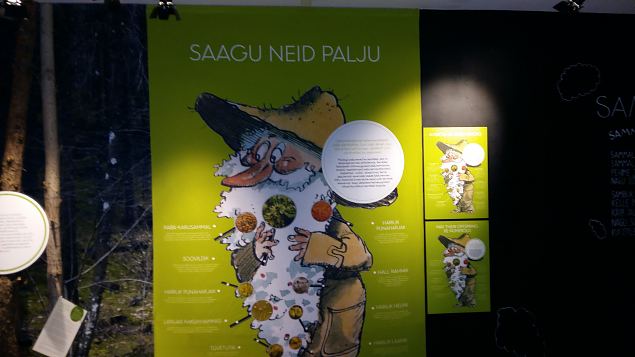   Loodusmuuseumi n�itus ''Vaprad ja ilusad''. Peaosades: Samblik ja Sammal. 14.04.16