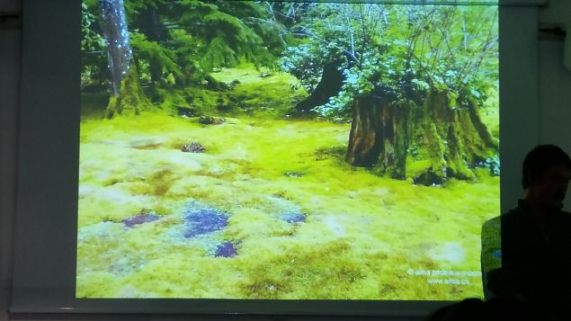   Loodusmuuseumi n�itus ''Vaprad ja ilusad''. Peaosades: Samblik ja Sammal. 14.04.16