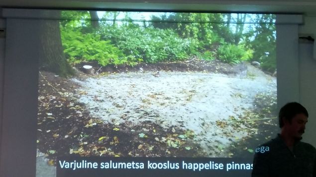   Loodusmuuseumi n�itus ''Vaprad ja ilusad''. Peaosades: Samblik ja Sammal. 14.04.16