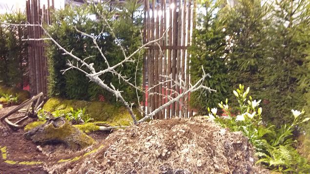   Stockholmi aiandusmess 23.04.16