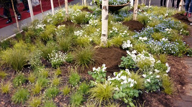   Stockholmi aiandusmess 23.04.16