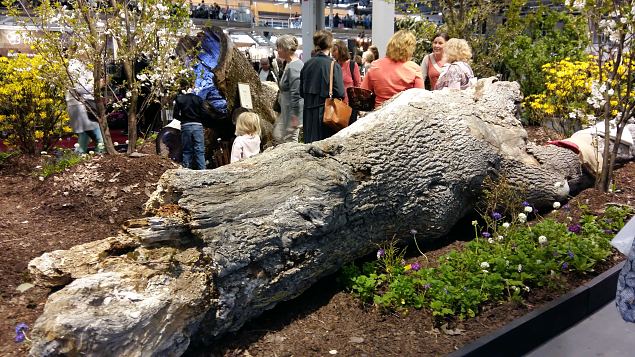   Stockholmi aiandusmess 23.04.16