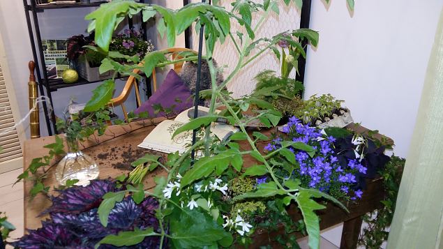   Stockholmi aiandusmess 23.04.16 jrg