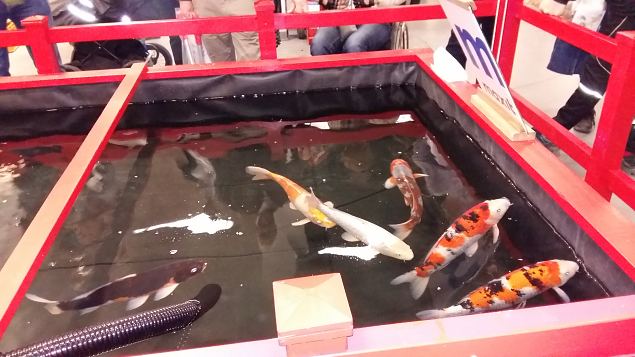   Stockholmi aiandusmess 23.04.16 j�rg