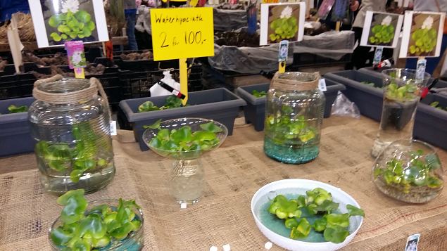   Stockholmi aiandusmess 23.04.16 j�rg