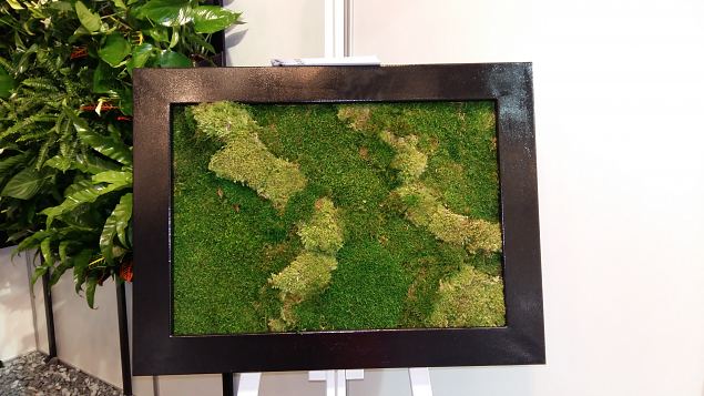   Tallinna aiandusmess 22.04.2016