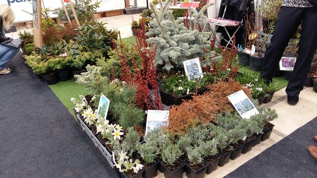   Tallinna aiandusmess 22.04.2016