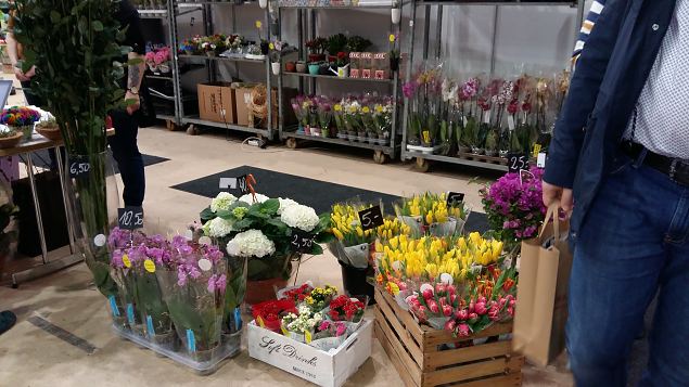   Tallinna aiandusmess 22.04.2016