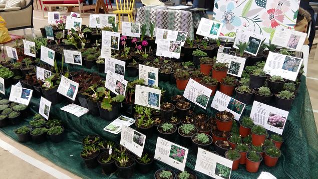   Tallinna aiandusmess 22.04.2016