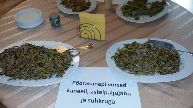   Koigi Umbrohufestival 14.05.16