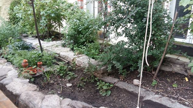   Ettevalmistused P�ha Hildegardi aia rajamiseks Tallinna Vanalinnas aug-sept. 2016