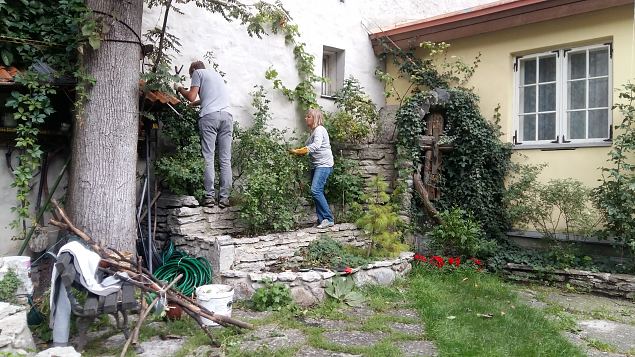   Ettevalmistused P�ha Hildegardi aia rajamiseks Tallinna Vanalinnas aug-sept. 2016