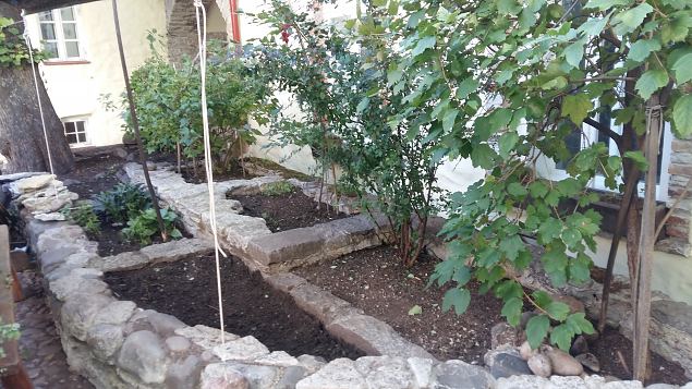   Ettevalmistused P�ha Hildegardi aia rajamiseks Tallinna Vanalinnas aug-sept. 2016