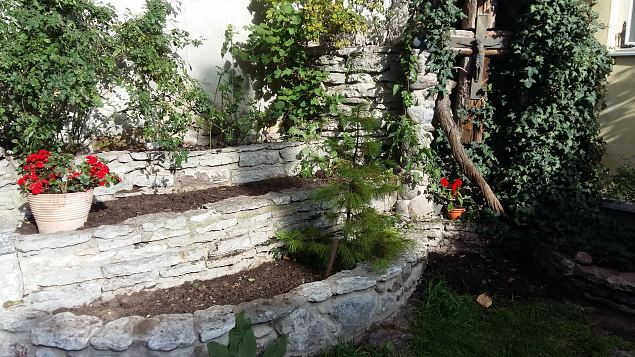   Ettevalmistused P�ha Hildegardi aia rajamiseks Tallinna Vanalinnas aug-sept. 2016