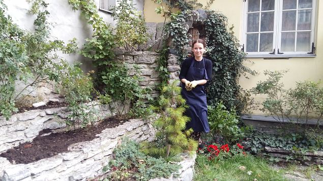   Ettevalmistused P�ha Hildegardi aia rajamiseks Tallinna Vanalinnas aug-sept. 2016