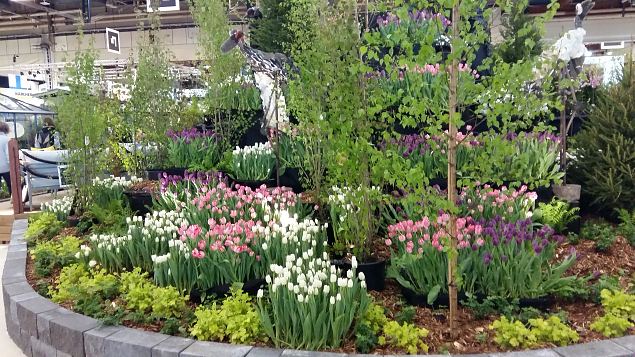   Helsingi aiandus- ja sisustusmess 07.04.17