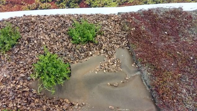   Helsingi aiandus- ja sisustusmess 07.04.17