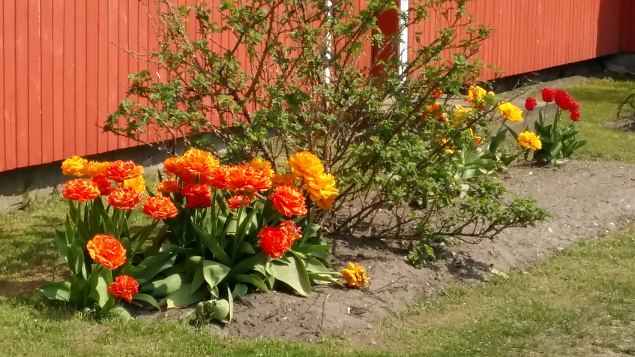   Kevadkollast Kihnut avastamas 20.05.17