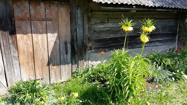   Kevadkollast Kihnut avastamas 20.05.17