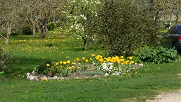   Kevadkollast Kihnut avastamas 20.05.17