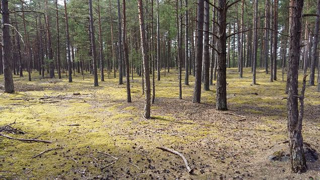   Kevadkollast Kihnut avastamas 20.05.17