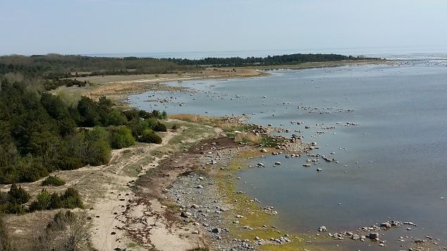   Kevadkollast Kihnut avastamas 20.05.17