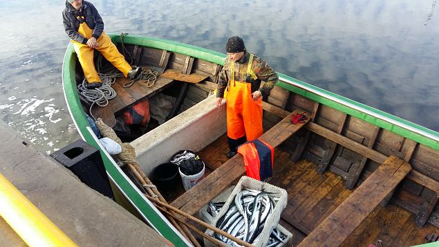   Kevadkollast Kihnut avastamas 20.05.17