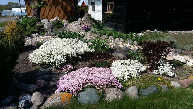   Kevadkollast Kihnut avastamas 20.05.17