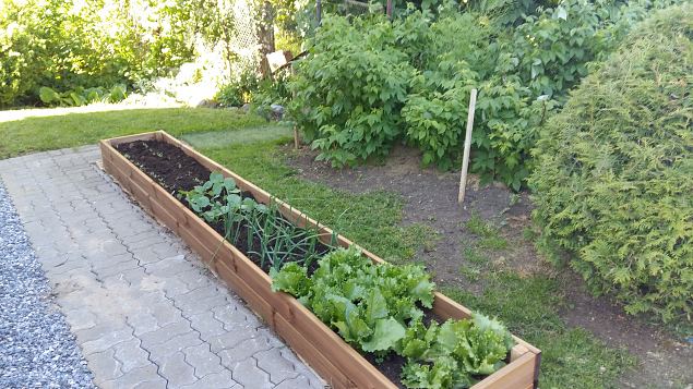   Aiakujunduse koolitus Luige eraaias 28.06.17