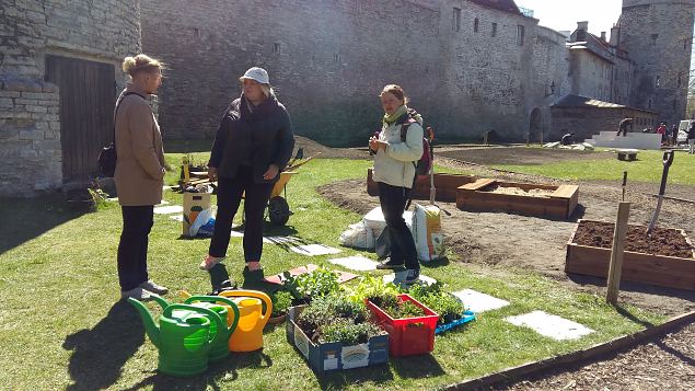   Tallinna Kopli Ametikooli aianduseriala �pilased Lillefestivalil 2017