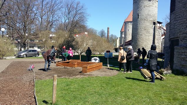   Tallinna Kopli Ametikooli aianduseriala �pilased Lillefestivalil 2017