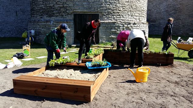   Tallinna Kopli Ametikooli aianduseriala �pilased Lillefestivalil 2017