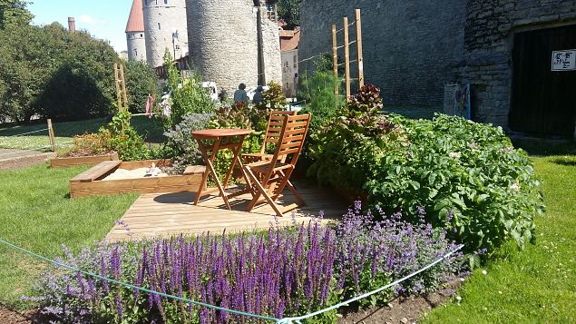   Tallinna Kopli Ametikooli aianduseriala �pilased Lillefestivalil 2017