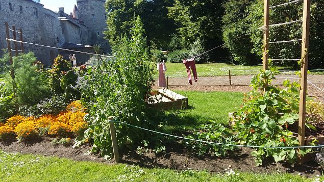   Tallinna Kopli Ametikooli aianduseriala �pilased Lillefestivalil 2017