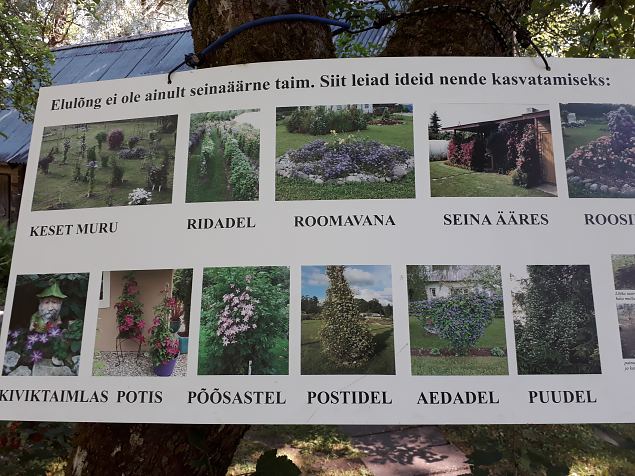   Avatud talude p�ev 22.07.18 Karla k�las Harjumaal