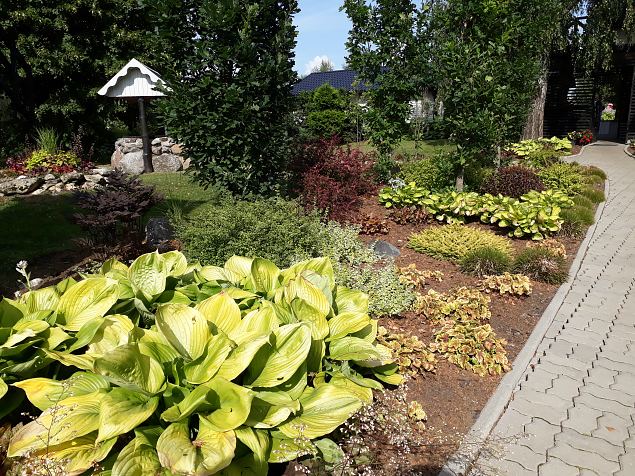   Avatud talude p�ev 22.07.18 Nurga talus Imaveres