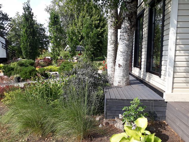   Avatud talude p�ev 22.07.18 Nurga talus Imaveres