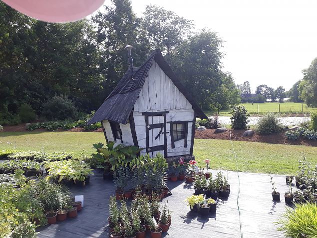   Avatud talude p�ev 22.07.18 Nurga talus Imaveres