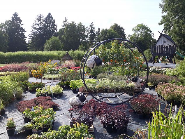   Avatud talude p�ev 22.07.18 Nurga talus Imaveres