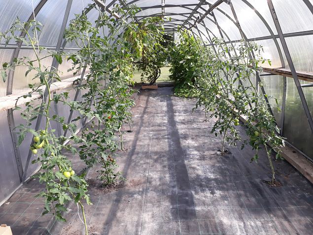   Avatud talude p�ev 22.07.18 Nurga talus Imaveres