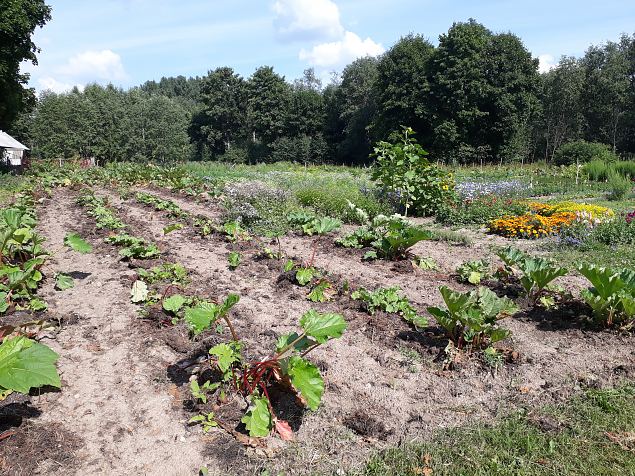   P�hjaka m�isa k��giviljaaed juuli 2018