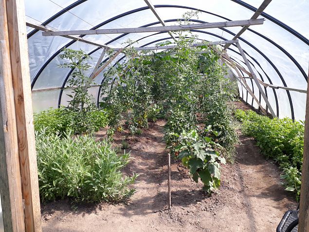   P�hjaka m�isa k��giviljaaed juuli 2018