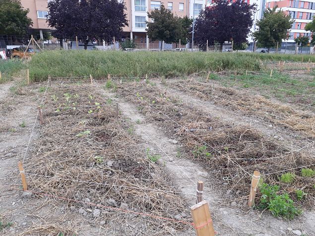   V�rskelt rajatud Linnaaed Vitorias, Hispaanias august 2018