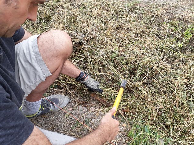   Vrskelt rajatud Linnaaed Vitorias, Hispaanias august 2018