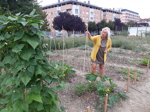   V�rskelt rajatud Linnaaed Vitorias, Hispaanias august 2018