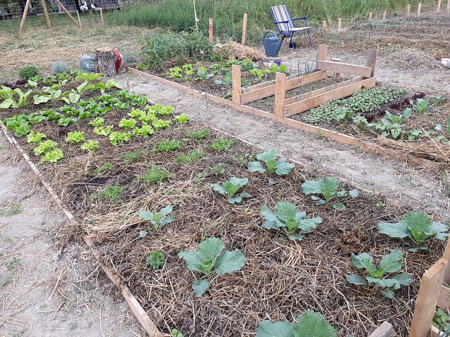   V�rskelt rajatud Linnaaed Vitorias, Hispaanias august 2018