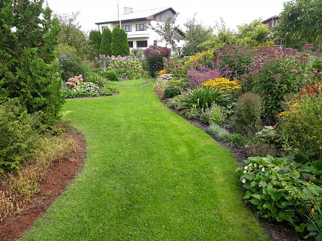   Dendroloogia Seltsi suvep�evad 06 - 08.08.18 P�rnumaal